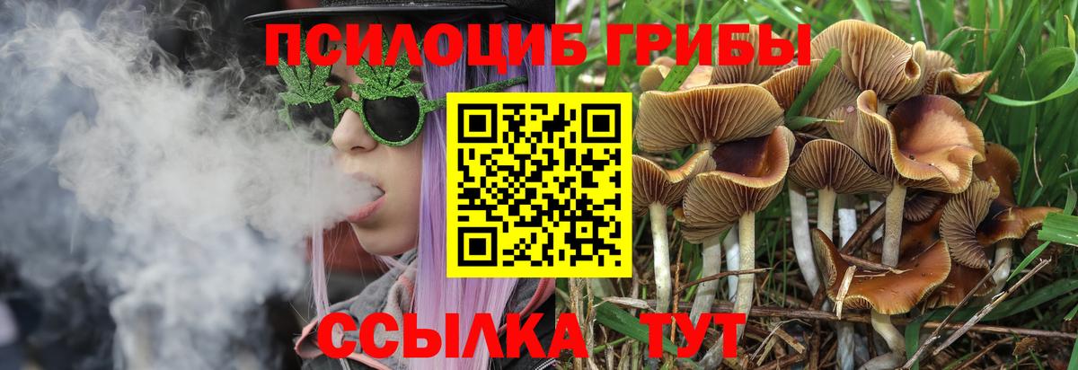 Псилоцибиновые грибы мухоморы Сосновый Бор