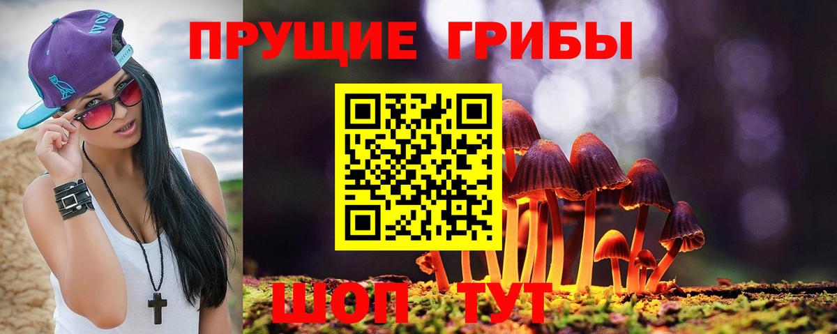 наркотики  Вход с VPN  Сосновый Бор  Галлюциногенные грибы ЛСД 